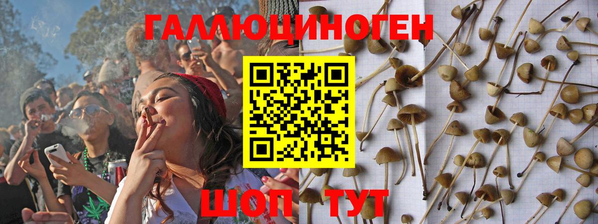 Псилоцибиновые грибы мицелий Артём