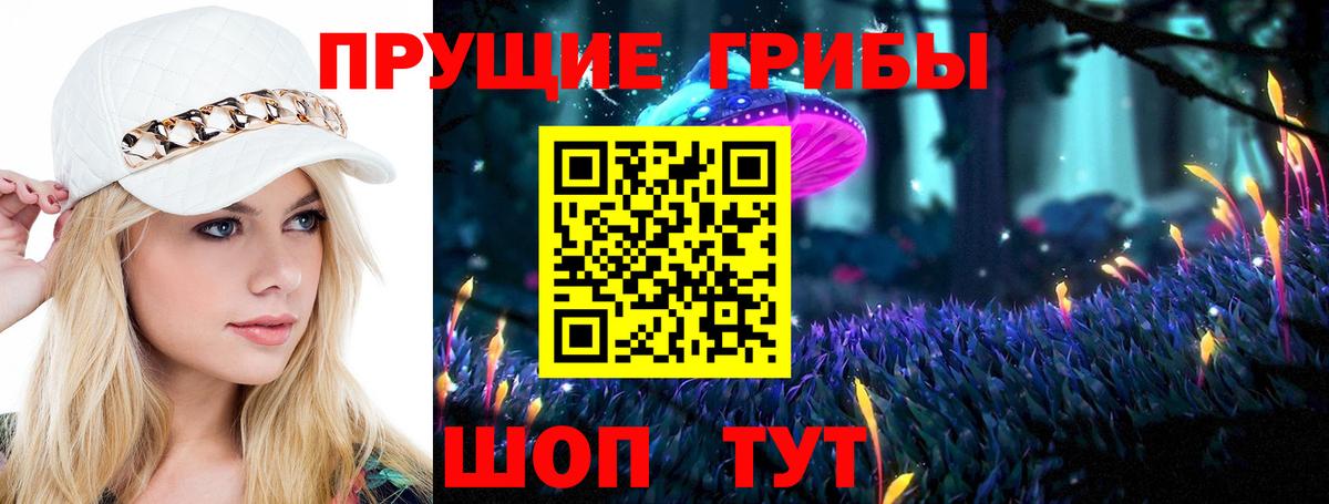 Артём  Галлюциногенные грибы прущие грибы  Вход с VPN 